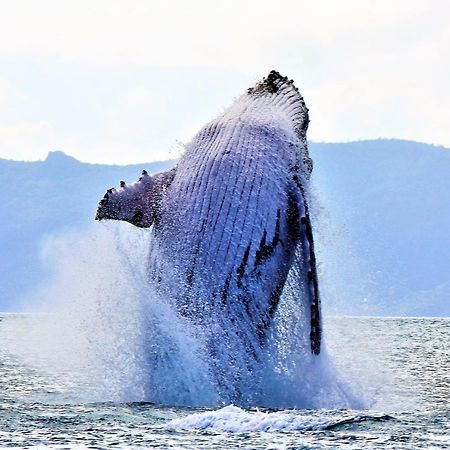 Lake Central Cairns Dış mekan fotoğraf